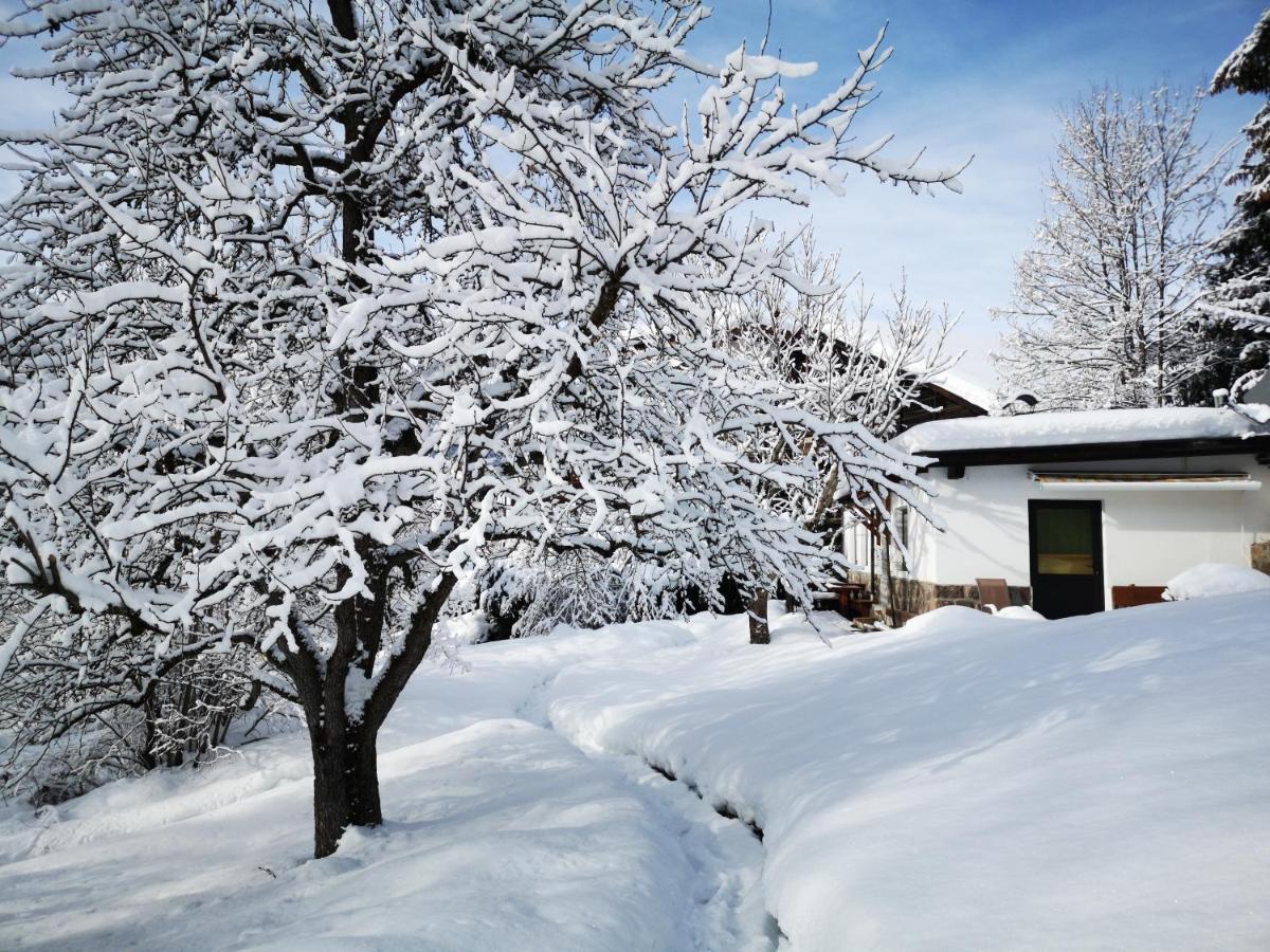 Appartchalet La Rondula Ortisei Esterno foto
